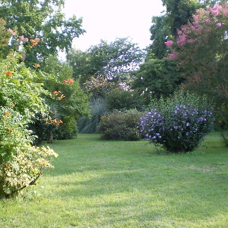 Teuillac Chambres D'Hotes Le Chardon Fleuri מראה חיצוני תמונה